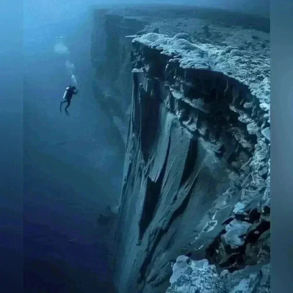 💟Men’s | Print Suspenders - Picture 7 of 9